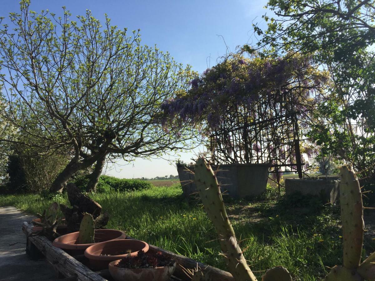 Il Rudere Bed & Breakfast Ravenna Luaran gambar