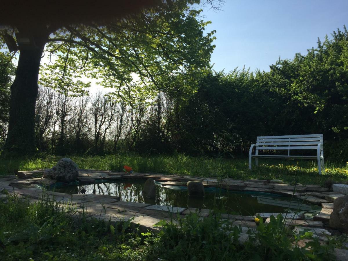 Il Rudere Bed & Breakfast Ravenna Luaran gambar
